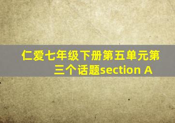 仁爱七年级下册第五单元第三个话题section A